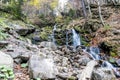 Cascading forest waterfall in Transcarpathian Region