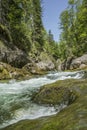 Cascading mountain stream Royalty Free Stock Photo