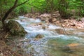 Cascading Mountain stream in green forest Royalty Free Stock Photo