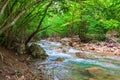 Cascading Mountain stream in green forest Royalty Free Stock Photo