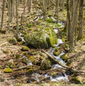 Cascading Mountain Waterfalls in the Woods