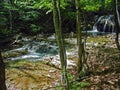 Cascading river with beautiful river thresholds in the green spring forest. Crimean mountains at spring Royalty Free Stock Photo