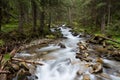 Cascading River in a Lush Mountain Forest