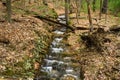 Cascading Stream in Douthat State Park, VA, USA Royalty Free Stock Photo