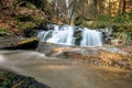 Cascading stream in the forest Royalty Free Stock Photo