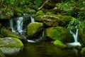 Cascading Stream in the Great Smoky Mountains