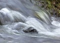 Cascading Stream Water Royalty Free Stock Photo