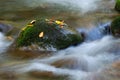 Cascading stream water Royalty Free Stock Photo