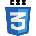 css3 logo