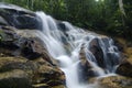 cascading tropical waterfall. wet and mossy rock, surrounded by green rain forest Royalty Free Stock Photo