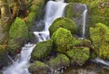 Cascading Water Mossy Landscape of South West Scotland