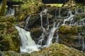 Cascading Water in a Rocky Stream