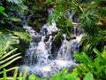 Cascading waterfall in jungle setting Royalty Free Stock Photo