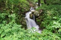 Cascading Waterfall in the Blue Ridge Mountain Royalty Free Stock Photo