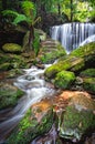 Cascading waterfall through lush rainforest