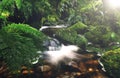 Cascading Waterfall Pancake Rocks New Zealand Concept Royalty Free Stock Photo