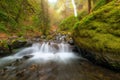 Cascading Waterfall at Starvation Creek State Park Oregon Royalty Free Stock Photo