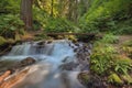 Cascading Waterfall at Wahkeena Canyon Trail Royalty Free Stock Photo