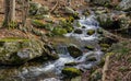 Cascading Wild Mountain Stream