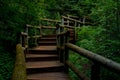 Cascading wooden steps, cascade river state park, mn Royalty Free Stock Photo