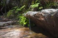 Tiny waterfall Royalty Free Stock Photo