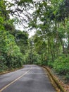 Cascatinha Highway Royalty Free Stock Photo