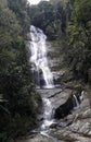 Cascatinha Taunay waterfall - Rio de Janeiro Royalty Free Stock Photo