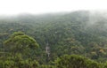 Cascatinha Taunay waterfall - Rio de Janeiro Royalty Free Stock Photo