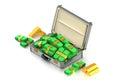 Case with bundles of money, dollars and gold bars