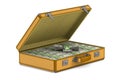 Case with cash money on white background. Isolated 3D illustration Royalty Free Stock Photo