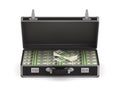 Case with cash money on white background. Isolated 3D illustration Royalty Free Stock Photo