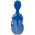 Case cello musical equipment, front view Royalty Free Stock Photo