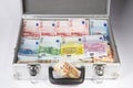 Case full of money Royalty Free Stock Photo