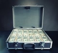 Case full of money on gray background