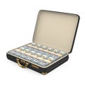 Case Full of Money Isolated