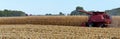 CASE INTERNATIONAL 1666 combine harvesting corn panorama