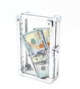 Case with money Royalty Free Stock Photo