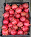 A case of Pomegranates for Juice in Mtskheta, Georgia Royalty Free Stock Photo