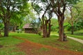 Casela Nature and Recreation Park in Mauritius Royalty Free Stock Photo