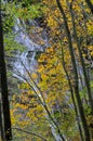 Casentino forest park waterfalls dell'Acquacheta Royalty Free Stock Photo