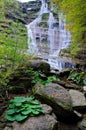 Casentino forest park waterfalls dell'Acquacheta Royalty Free Stock Photo