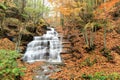 Casentino forest waterfalls Royalty Free Stock Photo