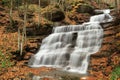 Casentino forest waterfalls