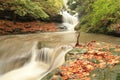 Casentino Italian forest Royalty Free Stock Photo