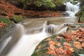 Casentino Italian forest Royalty Free Stock Photo