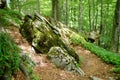 Casentino secular forest, one of the largest forest in Europe, extraordinarily rich in flora and fauna. Foot trail around La Verna