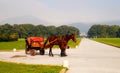 Caserta Gardens tour with horse carriage