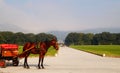 Caserta Gardens tour with horse carriage