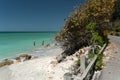 Casey Key coastline and wooden barrier on the road towards Siesta Key