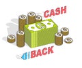 Cash Back concept, cash money dollar stacks and cent coins piles with lettering isolated on white background. 3d vector business Royalty Free Stock Photo